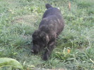 poze 04.05.2009 062