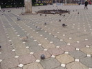 P9040078