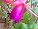 Picture 025