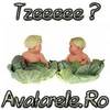 www_avatarele_ro__1225788151_728341