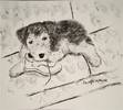 my_shoe______welsh_terrier_airedale_puppy_in_charcoal_