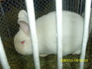 Picture 073