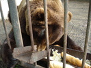 Picture 079