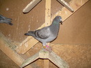 DSCN0451
