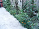 DSC09491