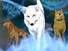 WolfsRain06[1]