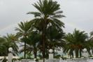 Tunisia_103