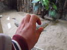 Picture 143
