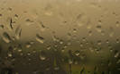 Rain-Drops
