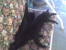 Imag055