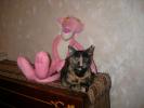 Mitza & Pink Panther 24
