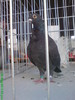 DSC05199