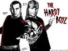 The Hardy Boyz Desenati