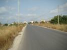 DSC04971