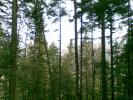 Copy of 22042008(003)