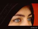 beautiful hijabi (112)