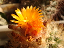 DSC02537