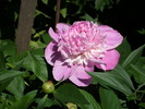 DSCI0902