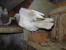 P9061604