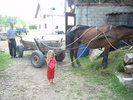 Picture 036