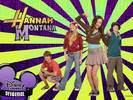 hannah_montana2[1]