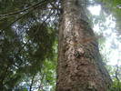 DSCF6018