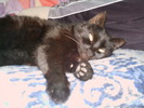 IMAG0013