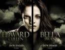edward and bella