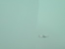 DSCN0423