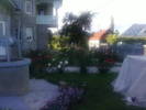 Fotografii-0073