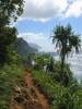 poza din hawaii