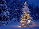 Christmas (75)