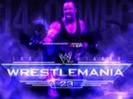 Undertaker009