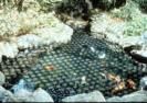 Shaded_Pond