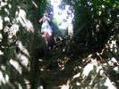 DSCF4506