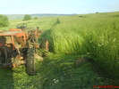 DSC00310