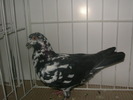 SANY0134