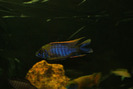 DSC01181