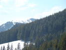 DSC02837