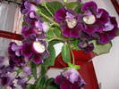 Flori 09
