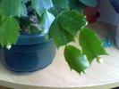 Picture 032
