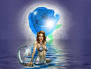 sirene0