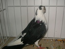SANY0111