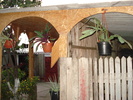 DSC09834