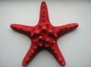 starfish