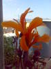 05082009583