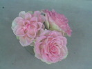 Imag040