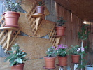 DSC09789