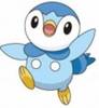 piplup