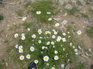DSCF6086